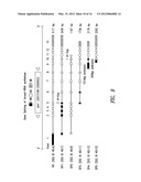 AMINOACYL TRNA SYNTHETASES FOR MODULATING HEMATOPOIESIS diagram and image