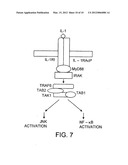 SIGNAL TRANSDUCTION PROTEIN TAB2 diagram and image