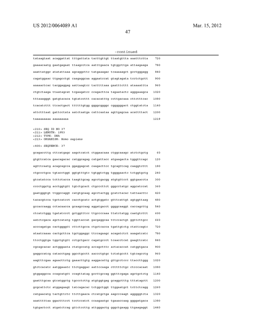 ANTI-CXCL16 AND ANTI-CXCR6 ANTIBODIES FOR THE PREVENTION AND TREATMENT OF     CANCER AND CANCER CELL MIGRATION - diagram, schematic, and image 66