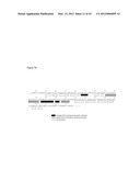 TOLL-LIKE RECEPTOR 3 ANTAGONISTS FOR THE TREATMENT OF METABOLIC AND     CARDIOVASCULAR DISEASES diagram and image