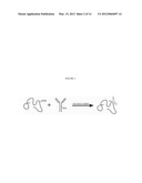 Enhanced Binding of Pro-Inflammatory Cytokines by Polysaccharide-Antibody     Conjugates diagram and image