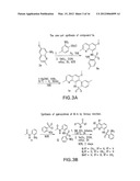 COMPOUNDS THAT INHIBIT NFKB AND BACE1 ACTIVITY diagram and image