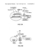 COMPOUNDS THAT INHIBIT NFKB AND BACE1 ACTIVITY diagram and image