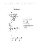 GLYCOCONJUGATE VACCINES diagram and image