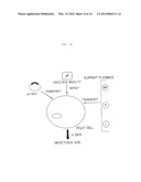 RECOMBINANT NEWCASTLE DISEASE VIRUSES USEFUL AS VACCINES OR VACCINE     VECTORS diagram and image