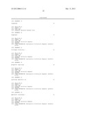 RECOMBINANT NEWCASTLE DISEASE VIRUSES USEFUL AS VACCINES OR VACCINE     VECTORS diagram and image