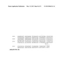 USE OF E. COLI SURFACE ANTIGEN 3 SEQUENCES FOR THE EXPORT OF HETEROLOGOUS     ANTIGENS diagram and image