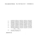 USE OF E. COLI SURFACE ANTIGEN 3 SEQUENCES FOR THE EXPORT OF HETEROLOGOUS     ANTIGENS diagram and image