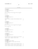 USE OF E. COLI SURFACE ANTIGEN 3 SEQUENCES FOR THE EXPORT OF HETEROLOGOUS     ANTIGENS diagram and image