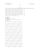 USE OF E. COLI SURFACE ANTIGEN 3 SEQUENCES FOR THE EXPORT OF HETEROLOGOUS     ANTIGENS diagram and image