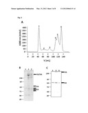 RECOMBINANT VIRUS-LIKE PARTICLES ENCODED BY MULTI-GENE VECTOR diagram and image