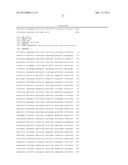 RECOMBINANT VIRUS-LIKE PARTICLES ENCODED BY MULTI-GENE VECTOR diagram and image