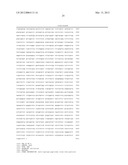 RECOMBINANT VIRUS-LIKE PARTICLES ENCODED BY MULTI-GENE VECTOR diagram and image