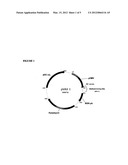 INFLUENZA NUCLEIC ACID MOLECULES AND VACCINES MADE THEREFROM diagram and image