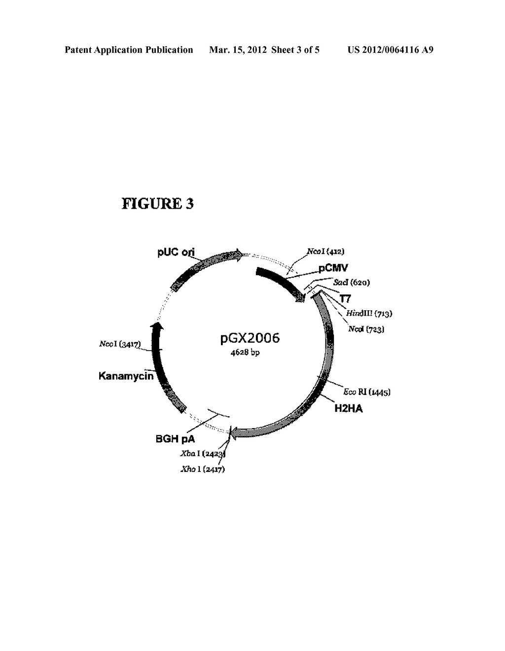 INFLUENZA NUCLEIC ACID MOLECULES AND VACCINES MADE THEREFROM - diagram, schematic, and image 04