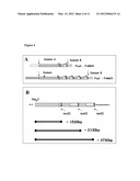 NEISSERIAL VACCINE COMPOSITIONS COMPRISING A COMBINATION OF ANTIGENS diagram and image
