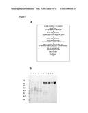 NEISSERIAL VACCINE COMPOSITIONS COMPRISING A COMBINATION OF ANTIGENS diagram and image