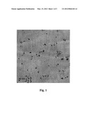 COMPOSITE NANOGRANULES FROM POLYMER/INORGANIC NANOPARTICLES, PREPARATION     METHOD THEREOF AND USE OF THE SAME diagram and image