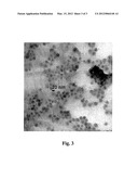 COMPOSITE NANOGRANULES FROM POLYMER/INORGANIC NANOPARTICLES, PREPARATION     METHOD THEREOF AND USE OF THE SAME diagram and image