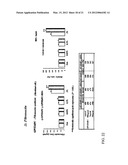 COSMETIC OR DERMATOLOGICAL PREPARATION COMPRISING COLLAGEN, CHITOSAN,     GLYCOSYLAMINOGLYCAN AND CELL GROWTH PROMOTING PEPTIDE AND/OR CELLULAR     COMPLEX diagram and image