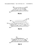 Hydrogel Implants with Varying Degrees of Crosslinking diagram and image