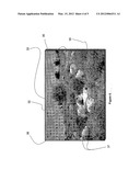 CAMOUFLAGE DEVICE diagram and image