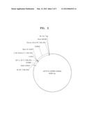 KIT INCLUDING TARGET SEQUENCE-BINDING PROTEIN AND METHOD OF DETECTING     TARGET NUCLEIC ACID BY USING THE KIT diagram and image