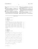 Use of Serum Amyloid A Gene in Diagnosis and Treatment of Glaucoma and     Identification of Anti-Glaucoma Agents diagram and image