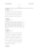 Use of Serum Amyloid A Gene in Diagnosis and Treatment of Glaucoma and     Identification of Anti-Glaucoma Agents diagram and image