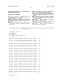 N-GLYCAN CORE BETA-GALACTOSYLTRANSFERASE AND USES THEREOF diagram and image