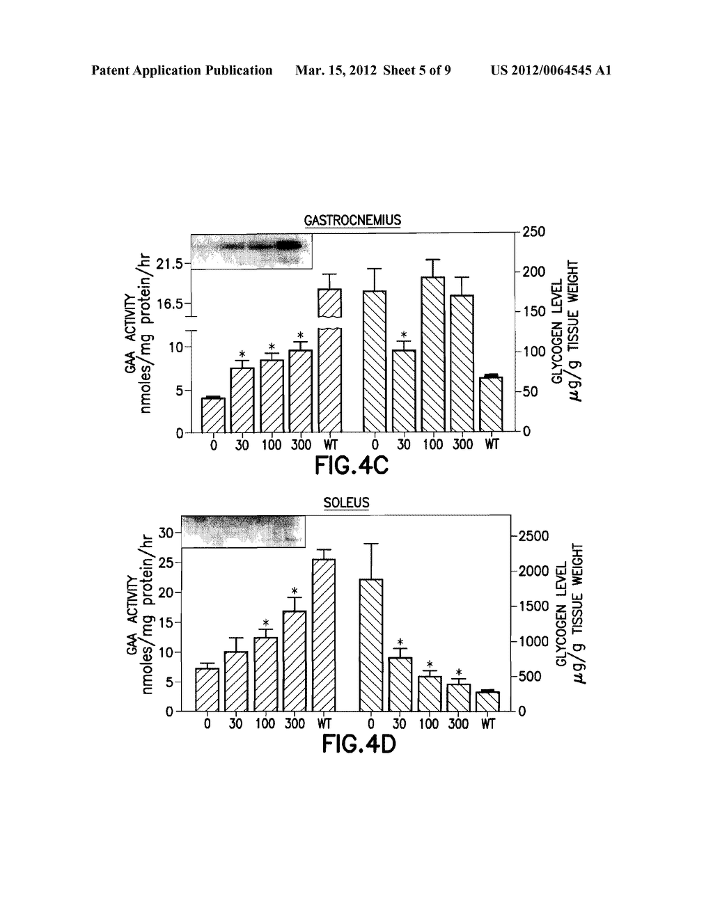 MOUSE MODEL FOR POMPE DISEASE AND METHODS OF USE THEREOF - diagram, schematic, and image 06