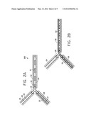 MULTIPLE PHASE FLOW SYSTEM FOR DETECTING AND ISOLATING SUBSTANCES diagram and image