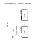 NOVEL CELL PENETRATING PEPTIDE diagram and image