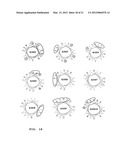 NOVEL CELL PENETRATING PEPTIDE diagram and image