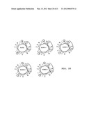 NOVEL CELL PENETRATING PEPTIDE diagram and image