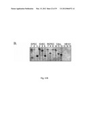 Bacterial Virulence Factors And Uses Thereof diagram and image