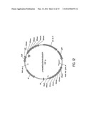 CHROMOSOME-BASED PLATFORMS diagram and image