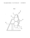 APPARATUS FOR KICKING EXERCISE diagram and image