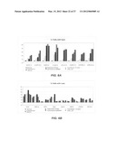 Detection of chromosomal abnormalities associated with endometrial cancer diagram and image