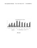 Detection of chromosomal abnormalities associated with endometrial cancer diagram and image