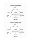 DIRECT MULTIPLEX CHARACTERIZATION OF GENOMIC DNA diagram and image