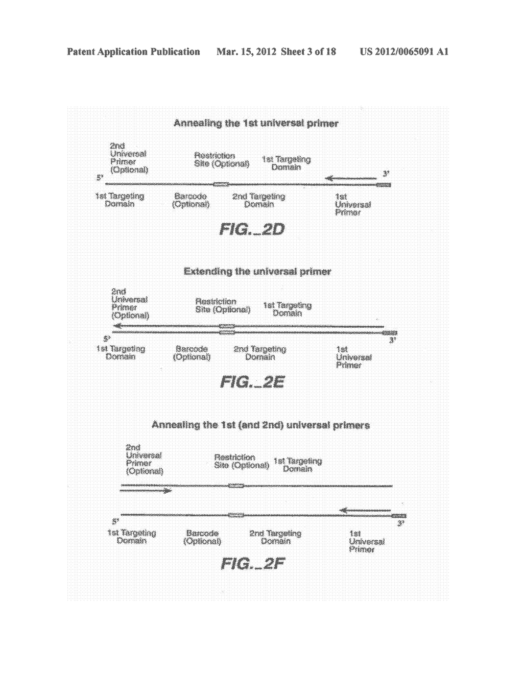 DIRECT MULTIPLEX CHARACTERIZATION OF GENOMIC DNA - diagram, schematic, and image 04