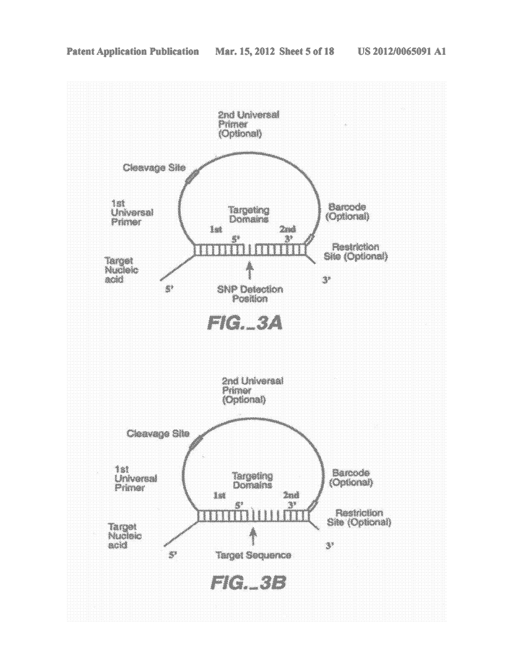 DIRECT MULTIPLEX CHARACTERIZATION OF GENOMIC DNA - diagram, schematic, and image 06