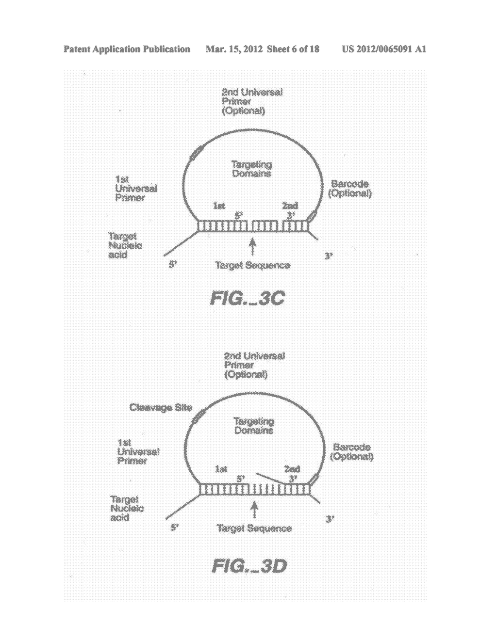 DIRECT MULTIPLEX CHARACTERIZATION OF GENOMIC DNA - diagram, schematic, and image 07