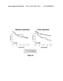 METHOD OF PREDICTING CHEMOTHERAPY EFFECTIVENESS IN COLON ADENOCARCINOMA     PATIENTS, USING MIR-21 diagram and image