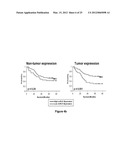 METHOD OF PREDICTING CHEMOTHERAPY EFFECTIVENESS IN COLON ADENOCARCINOMA     PATIENTS, USING MIR-21 diagram and image