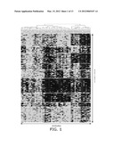 REAGENTS AND METHODS FOR USE IN CANCER DIAGNOSIS, CLASSIFICATION AND     THERAPY diagram and image