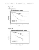 REAGENTS AND METHODS FOR USE IN CANCER DIAGNOSIS, CLASSIFICATION AND     THERAPY diagram and image