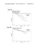 REAGENTS AND METHODS FOR USE IN CANCER DIAGNOSIS, CLASSIFICATION AND     THERAPY diagram and image