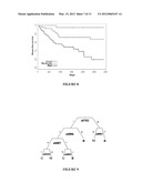 REAGENTS AND METHODS FOR USE IN CANCER DIAGNOSIS, CLASSIFICATION AND     THERAPY diagram and image